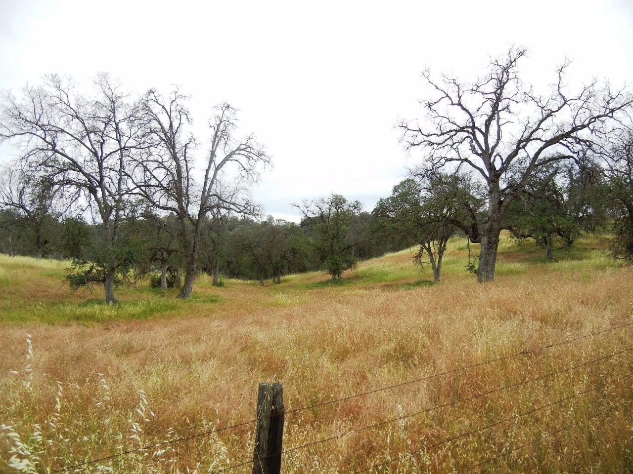 0 Ben Hur Road Raymond, CA 93653 - Photo 13 of 31 Gallery Image 13