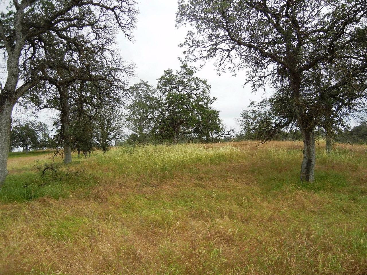0 Ben Hur Road Raymond, CA 93653 - Photo 16 of 31 Gallery Image 16