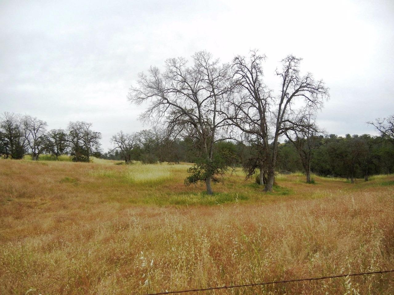 0 Ben Hur Road Raymond, CA 93653 - Photo 19 of 31 Gallery Image 19