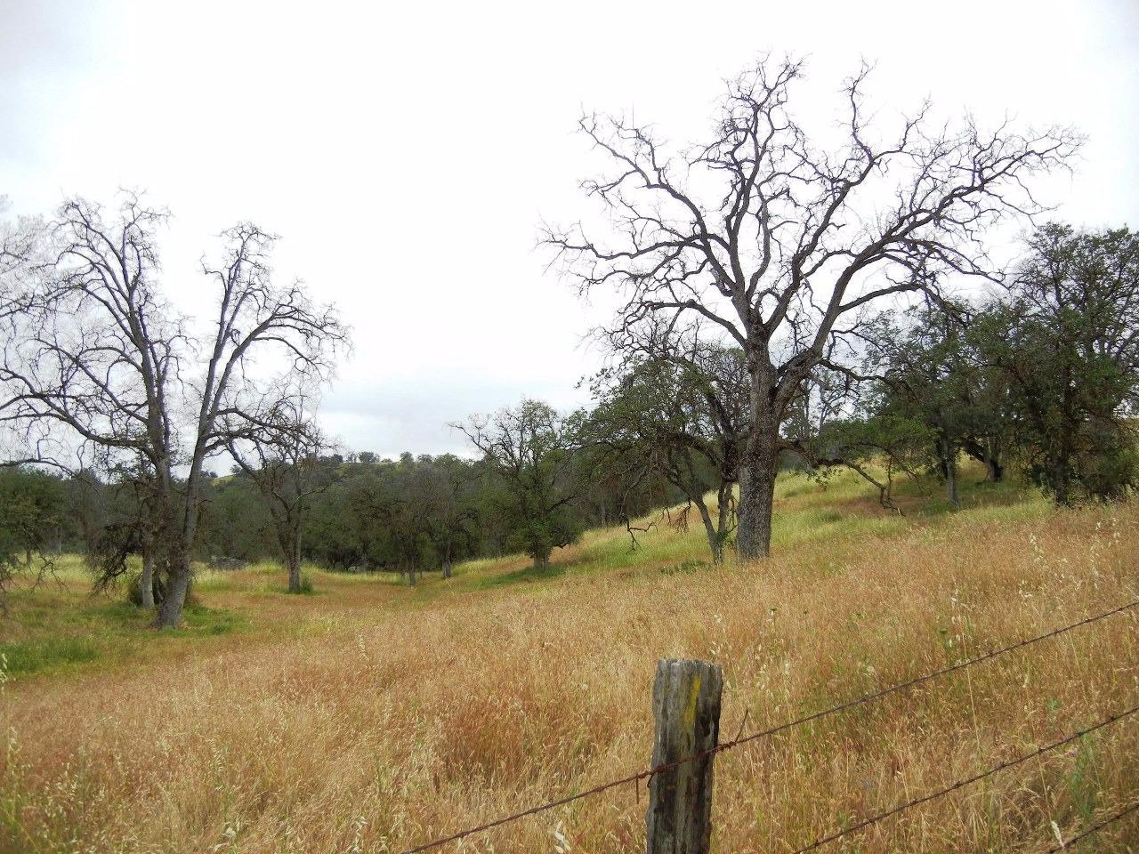 0 Ben Hur Road Raymond, CA 93653 - Photo 3 of 31 Gallery Image 3