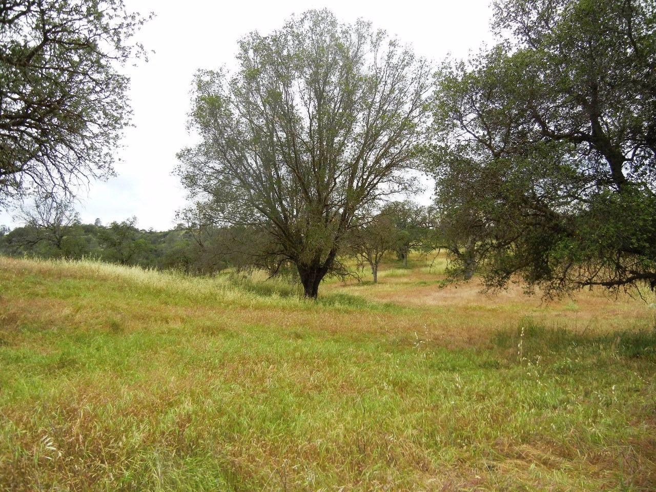 0 Ben Hur Road Raymond, CA 93653 - Photo 21 of 31 Gallery Image 21
