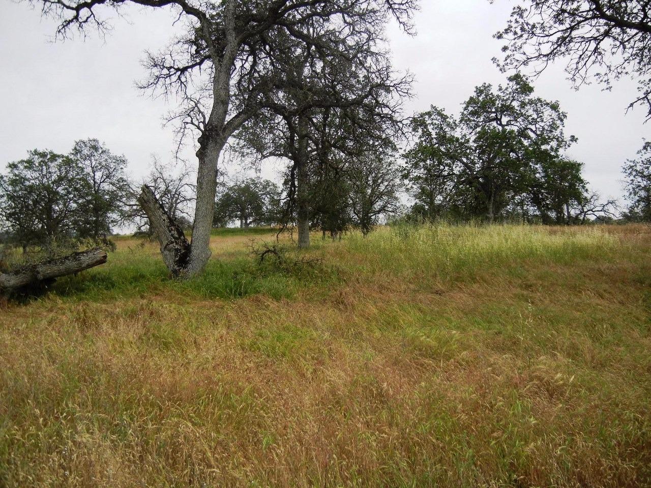0 Ben Hur Road Raymond, CA 93653 - Photo 22 of 31 Gallery Image 22