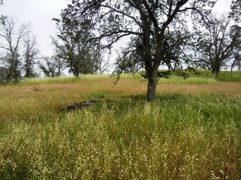 0 Ben Hur Road Raymond, CA 93653 - Photo 23 of 31 Gallery Image 23
