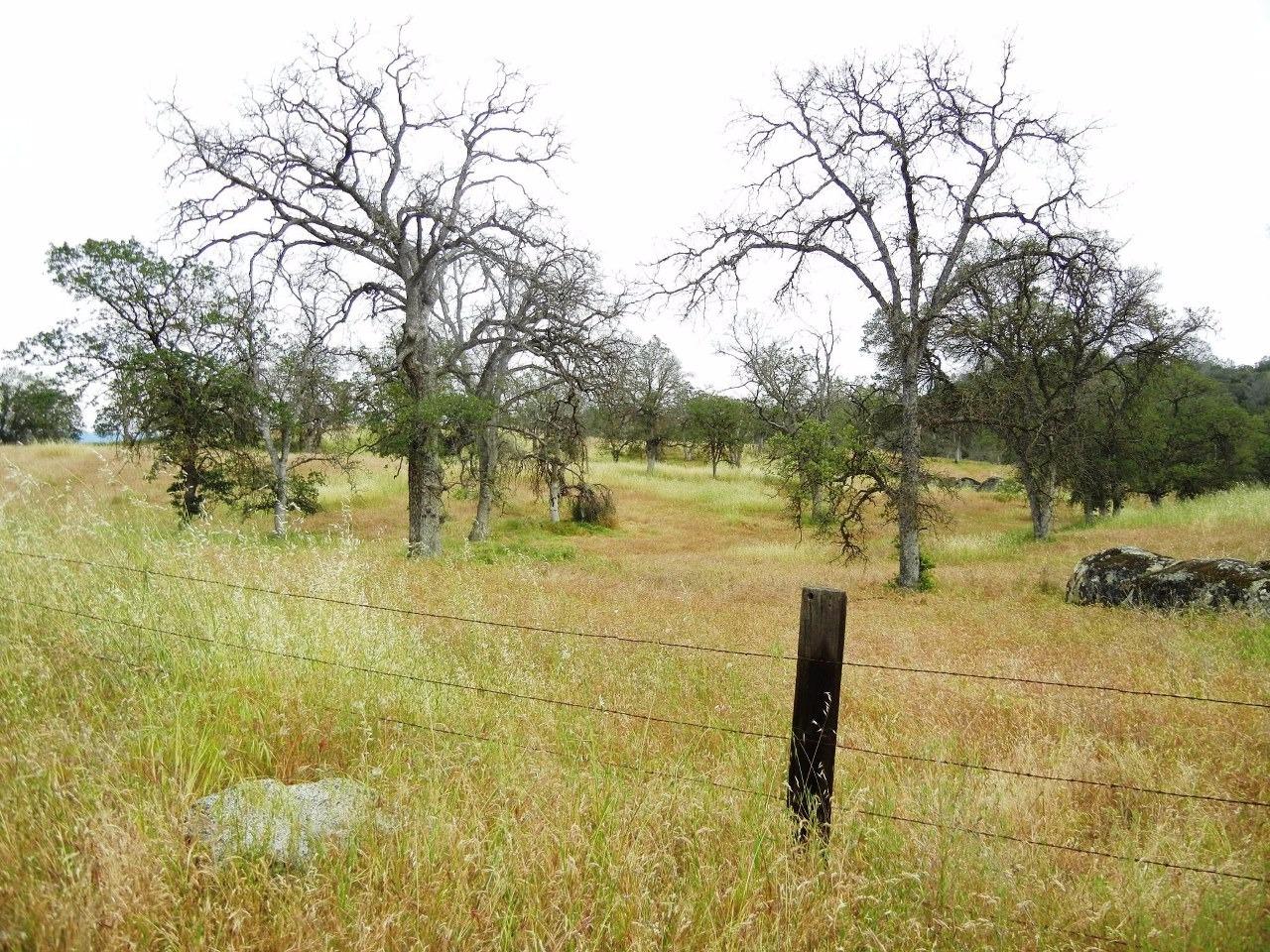 0 Ben Hur Road Raymond, CA 93653 - Photo 24 of 31 Gallery Image 24