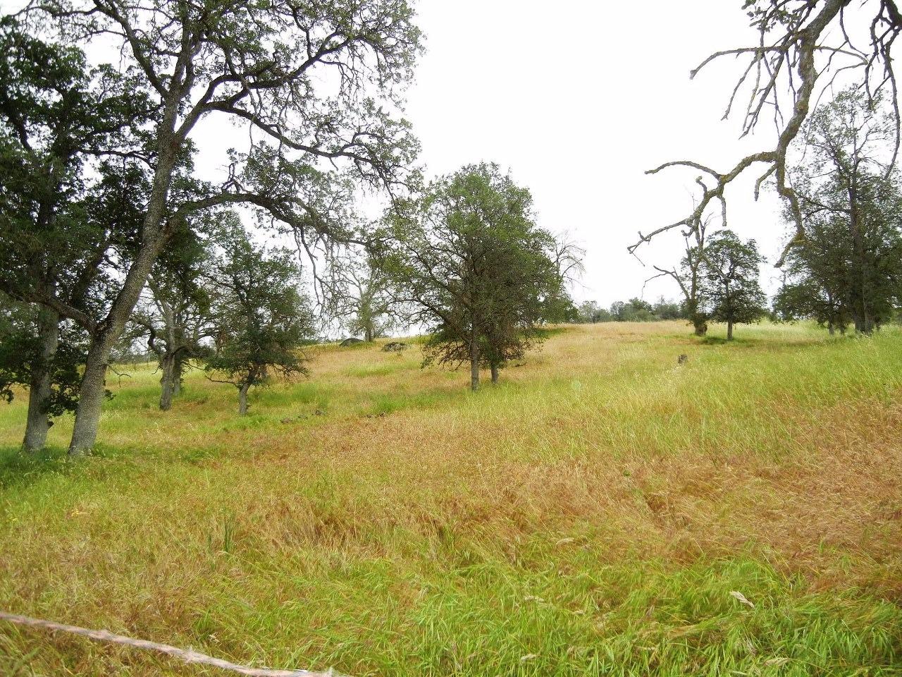 0 Ben Hur Road Raymond, CA 93653 - Photo 26 of 31 Gallery Image 26
