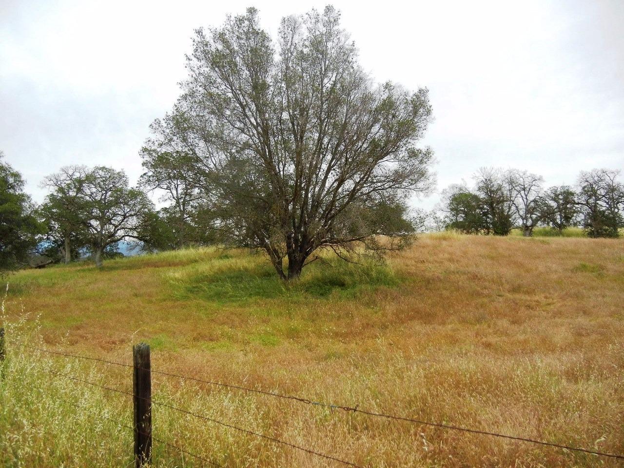 0 Ben Hur Road Raymond, CA 93653 - Photo 30 of 31 Gallery Image 30