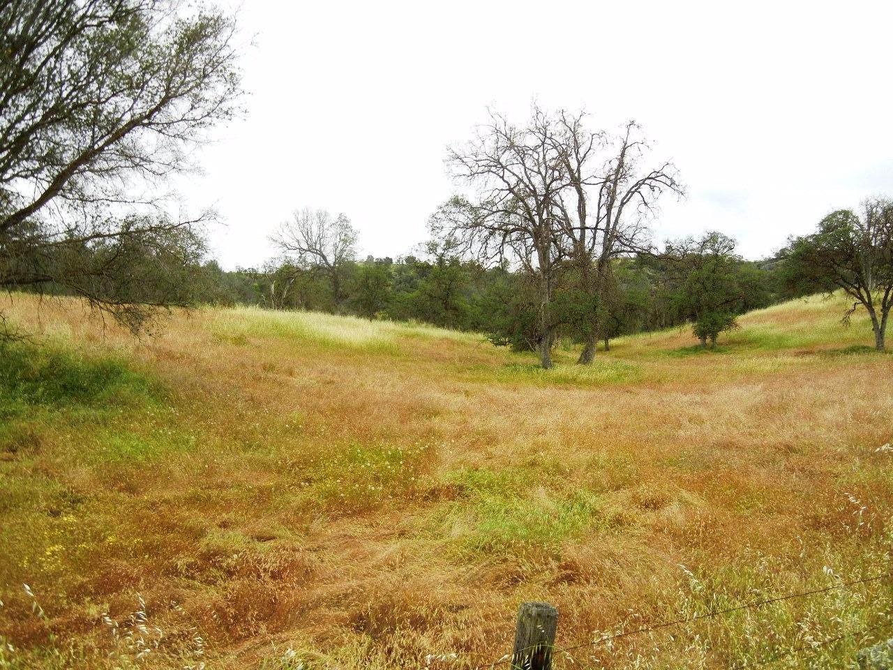 0 Ben Hur Road Raymond, CA 93653 - Photo 4 of 31 Gallery Image 4