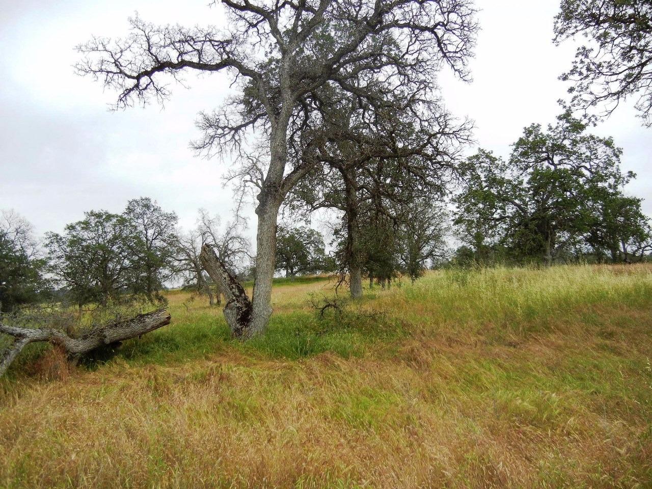 0 Ben Hur Road Raymond, CA 93653 - Photo 5 of 31 Gallery Image 5