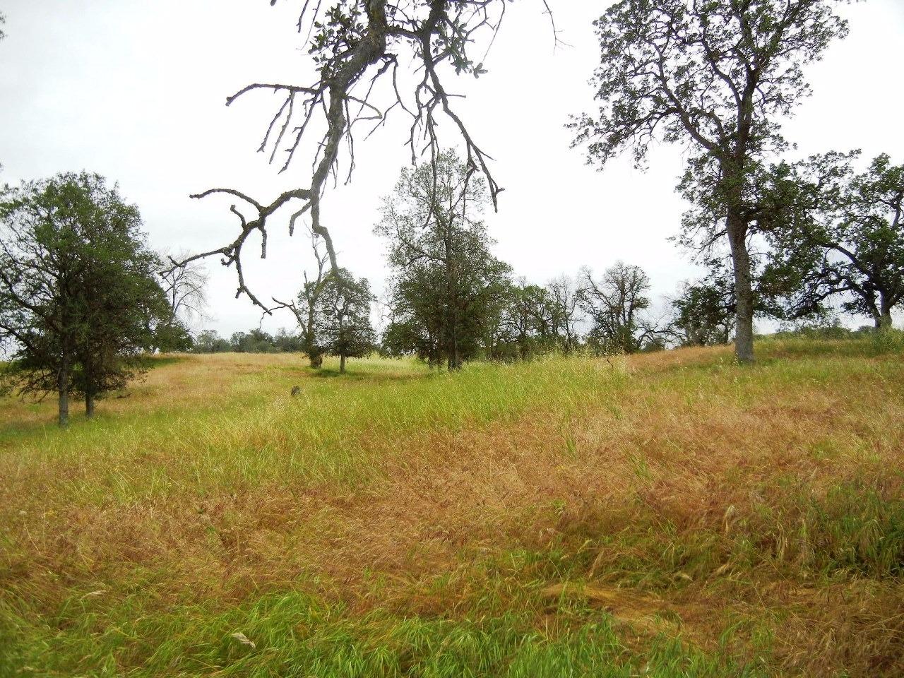 0 Ben Hur Road Raymond, CA 93653 - Photo 6 of 31 Gallery Image 6