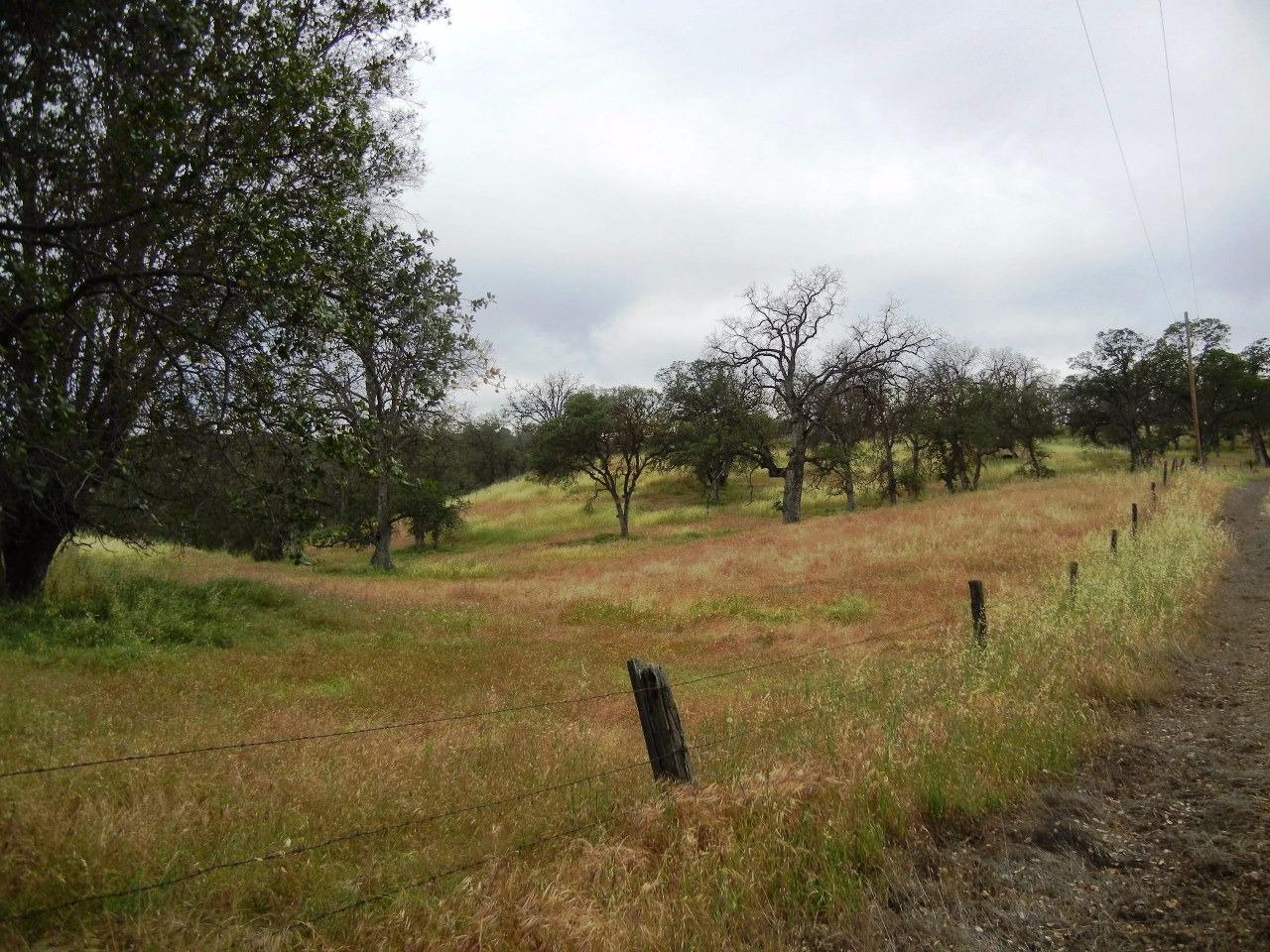 0 Ben Hur Road Raymond, CA 93653 - Photo 9 of 31 Gallery Image 9