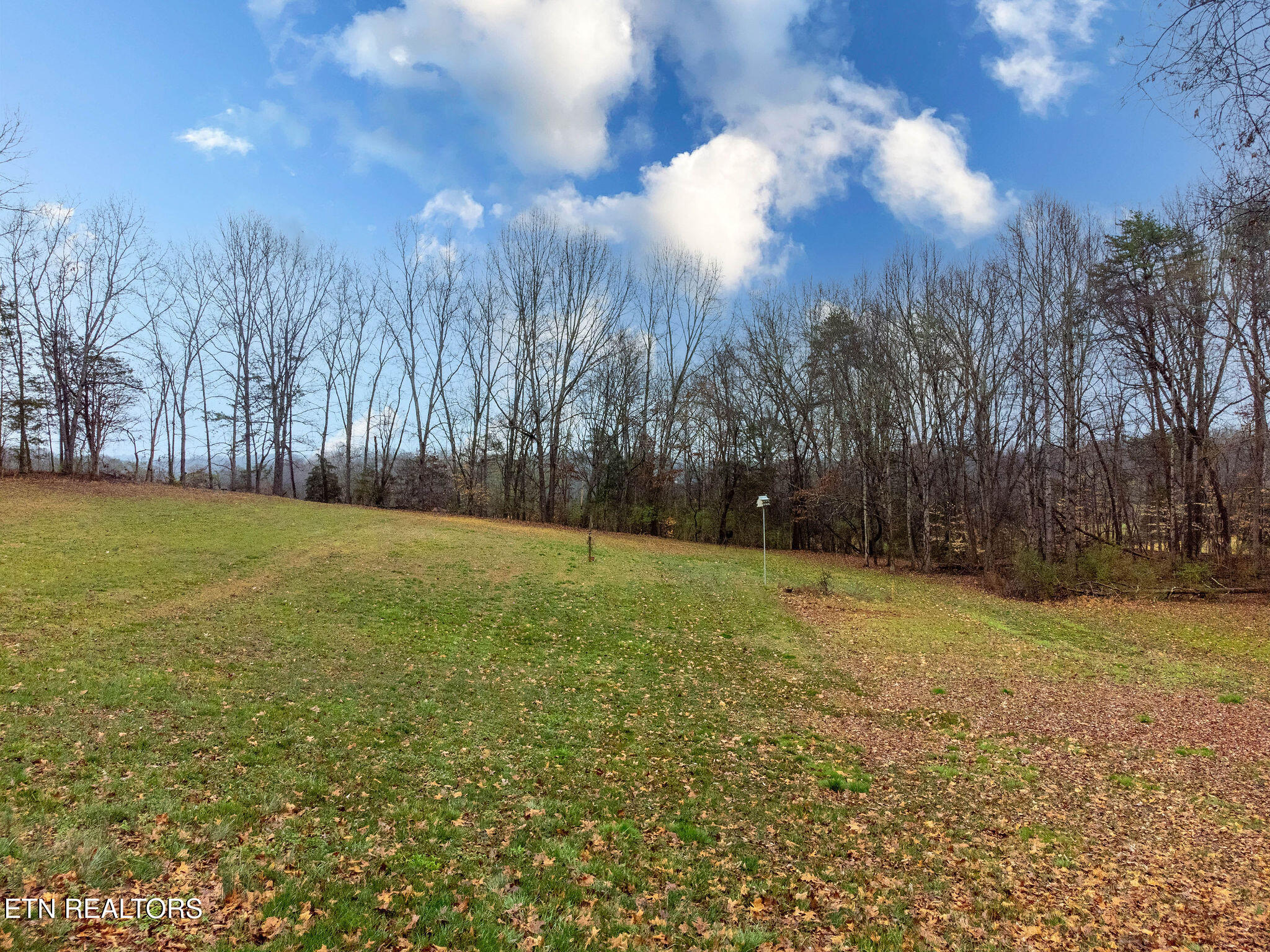 439 Zachary Road Blaine, TN 37709 - Photo 6 of 39 DJI_0875-HDR-Edit