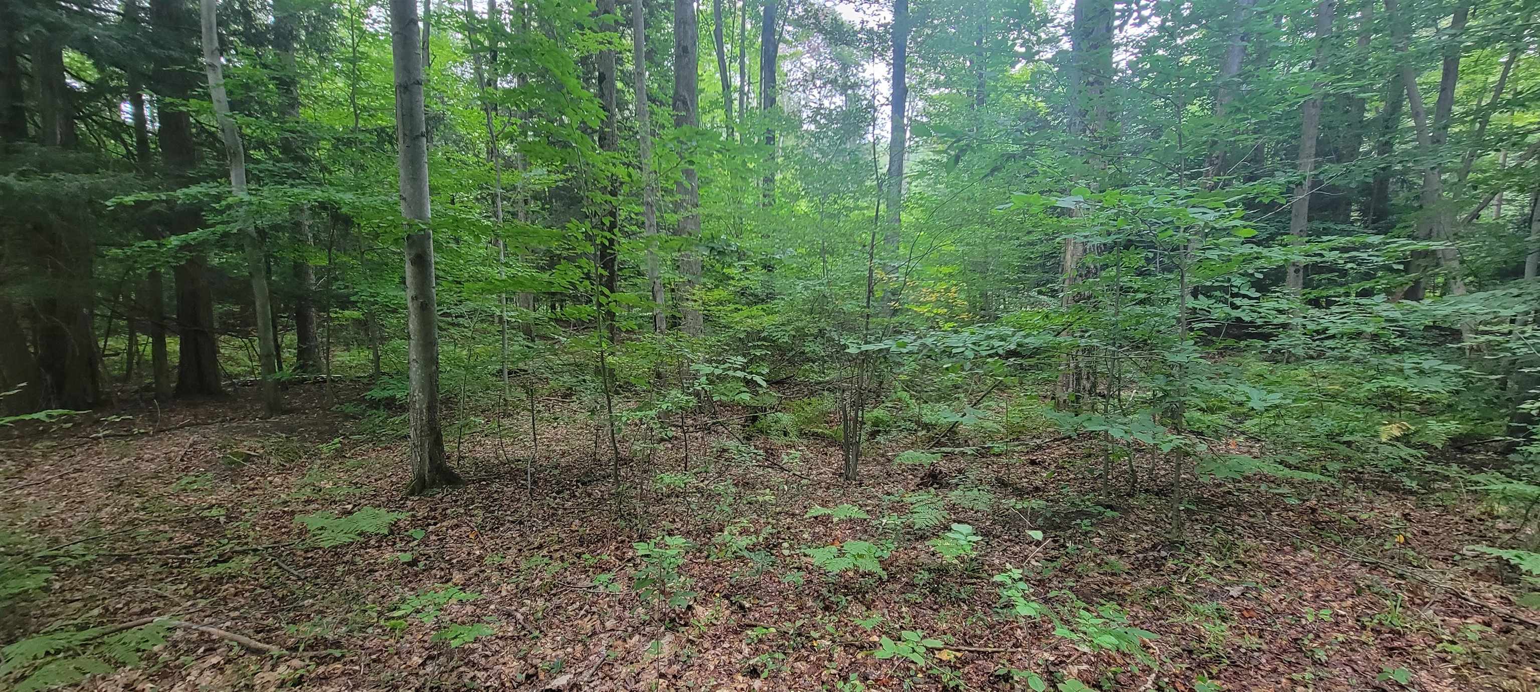 1708 Orr Road Caro, MI 48723 - Photo 15 of 37 Gallery Image 15