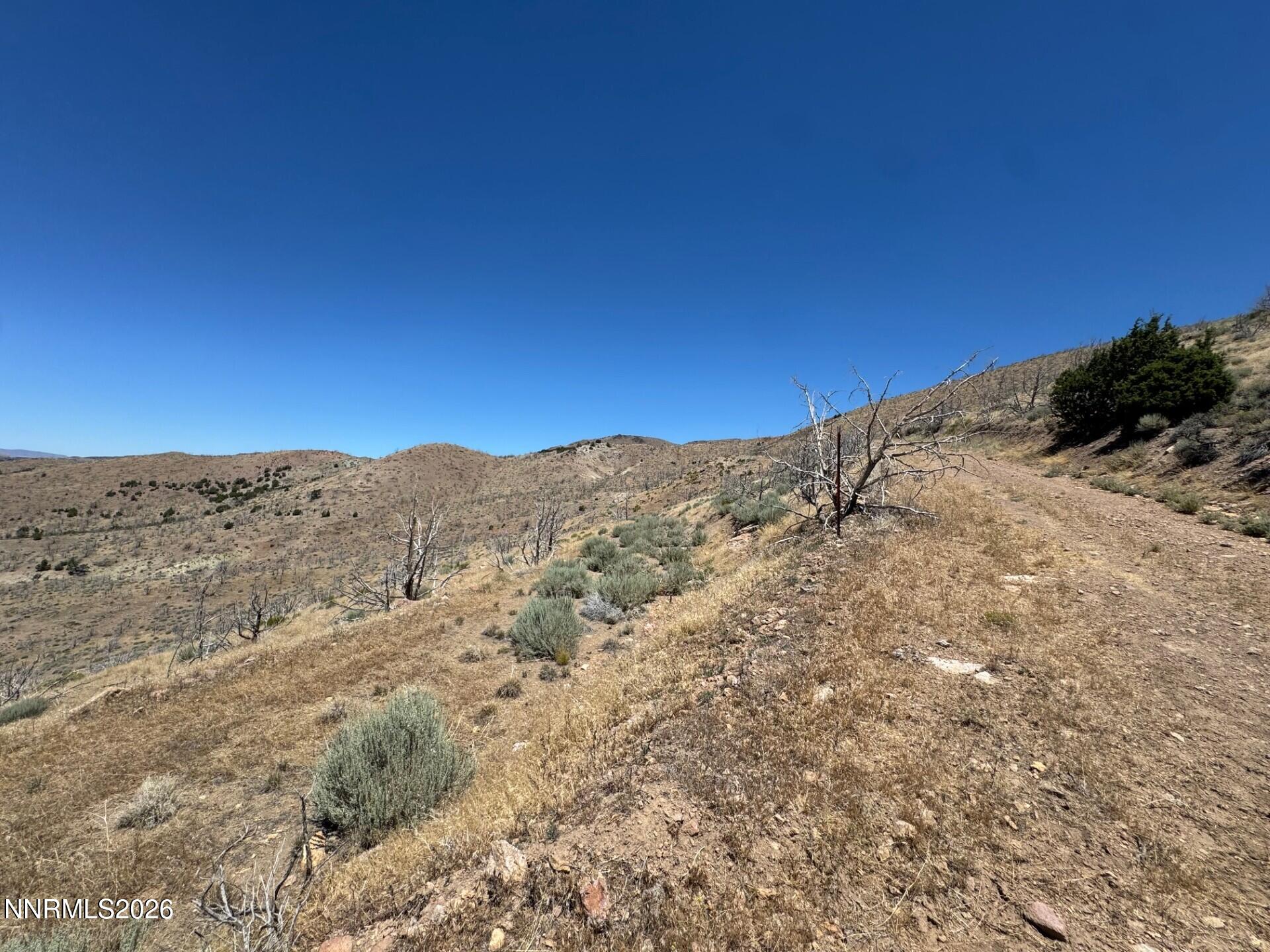 5 Wrangler Road Reno, NV 89510 - Photo 3 of 12 Land 3