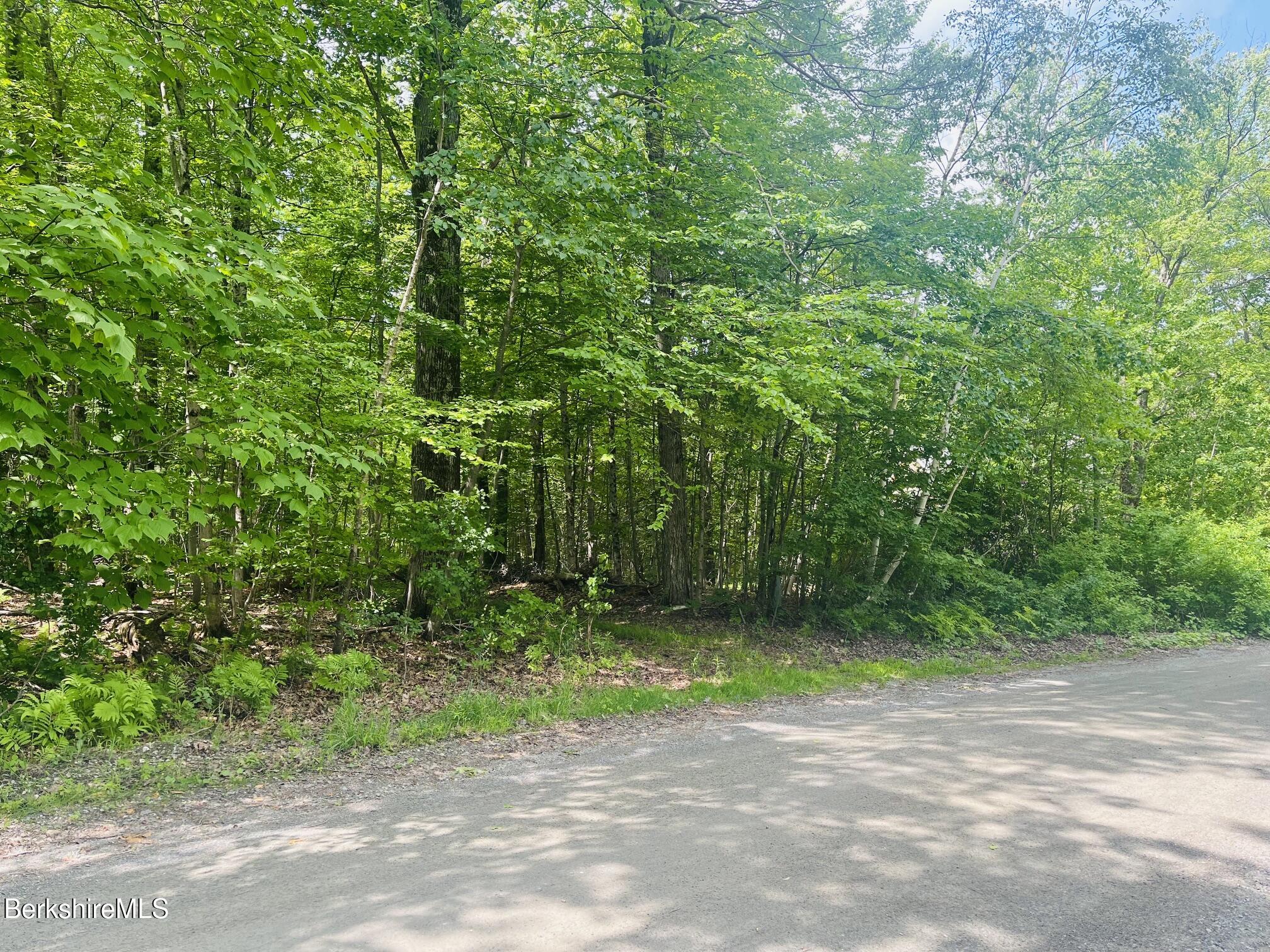 Lot 0 Greylock Estates Road Lanesborough, MA 01237 - Photo 5 of 5 Road Frontage