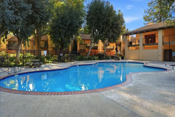 a view of a backyard with large trees