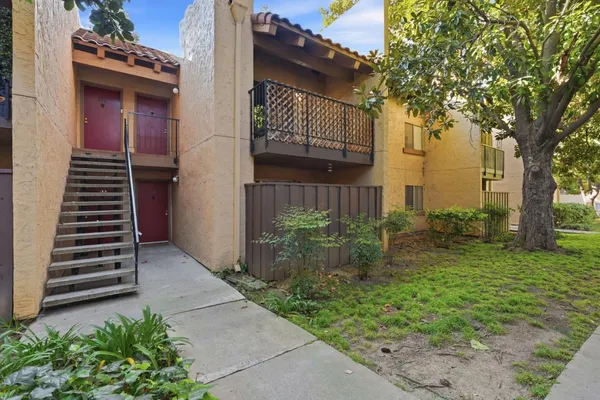 a view of backyard with potted plants and a large tree