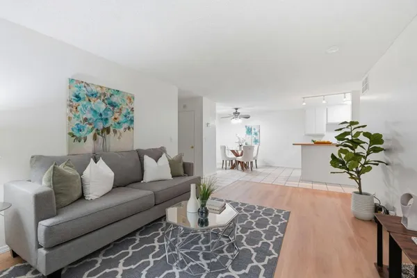 a living room with furniture and a potted plant