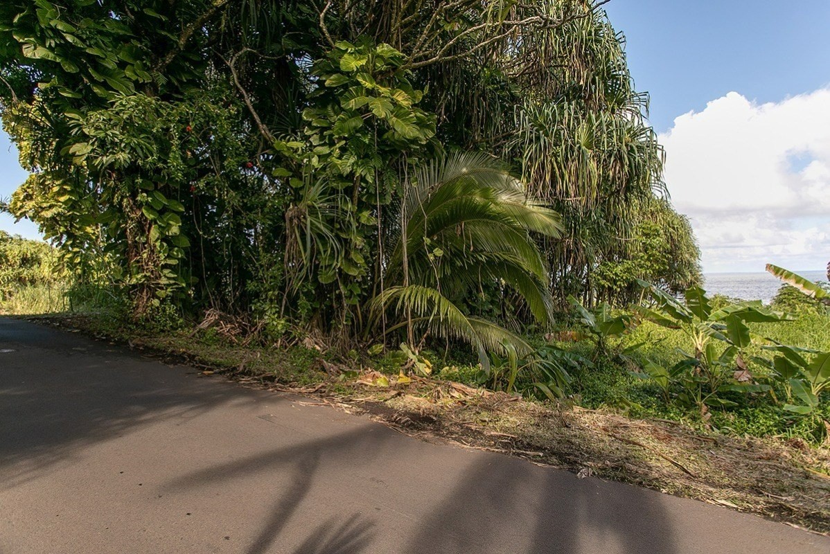 Beach Road Pahoa, HI 96778 - Photo 7 of 20