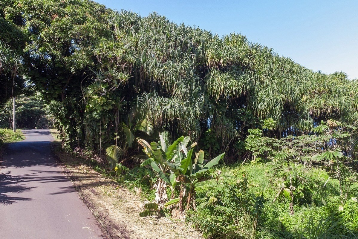 Beach Road Pahoa, HI 96778 - Photo 8 of 20