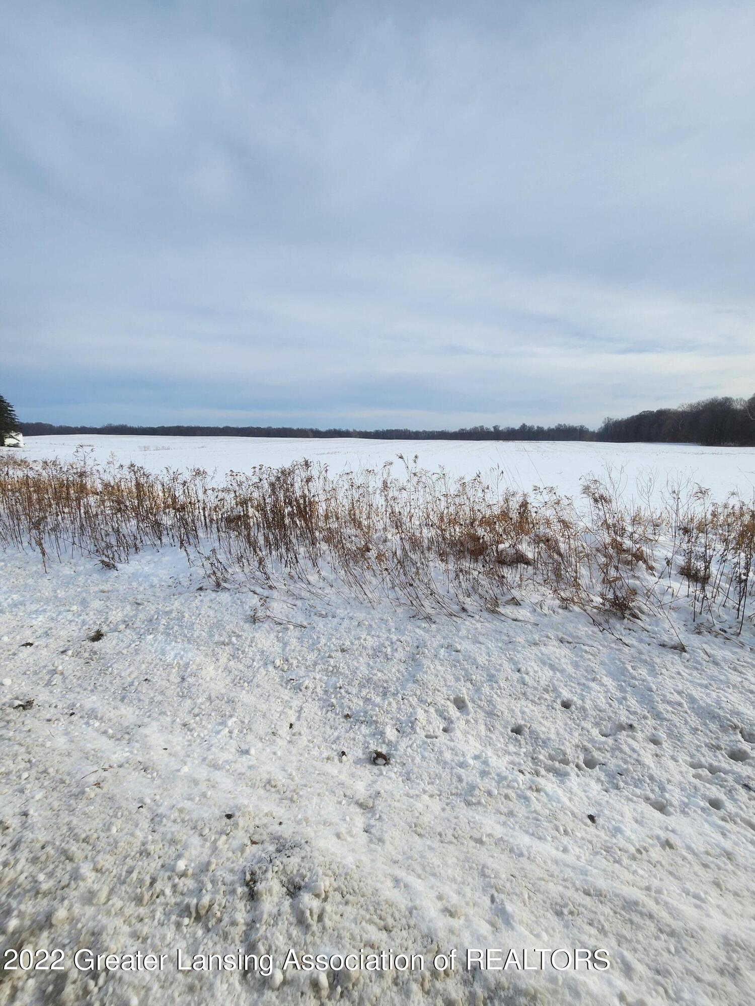 0 Aurelius Road Mason, MI 48854 - Photo 8 of 11 10
