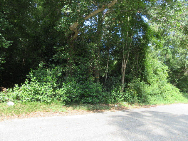 956 Meadowbrook Road Sumter, SC 29153 - Photo 5 of 7 Photo 5