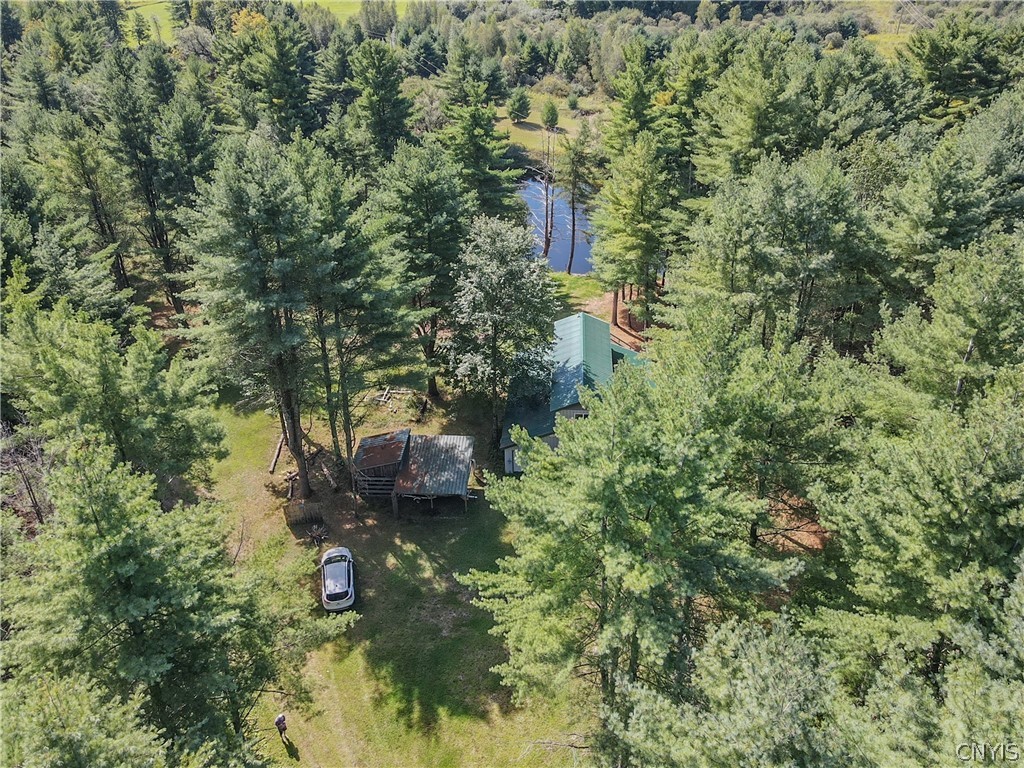 6 Pine River Edwards, NY 13635 - Photo 2 of 18