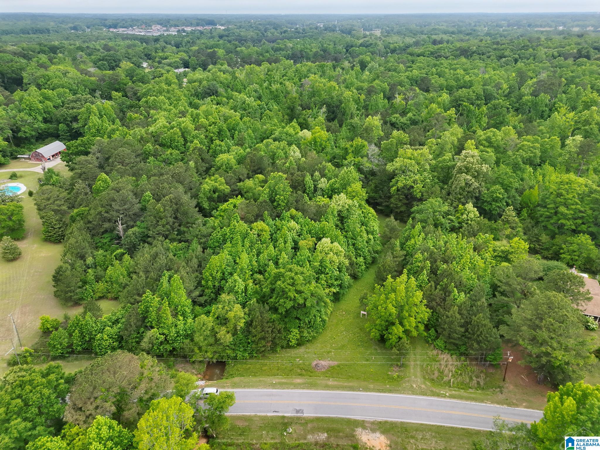 0 Temple Road, Unit 1 Clanton, AL 35045 - Photo 3 of 13