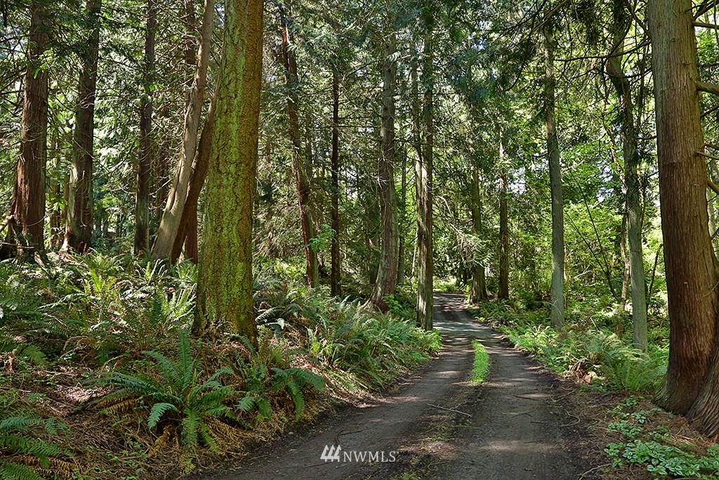 5275 Wilkinson Road Langley, WA 98260 - Photo 24 of 24 Gallery Image 24