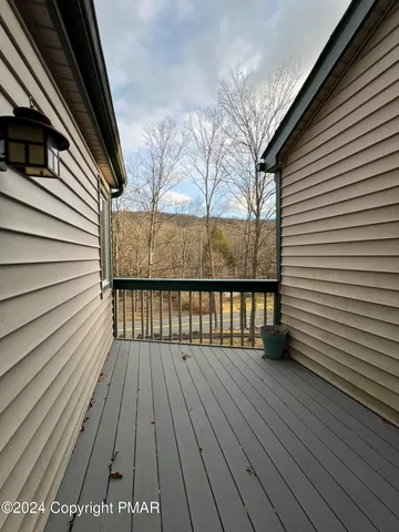 a view of a yard with a large tree