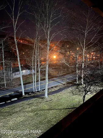 a view of a yard
