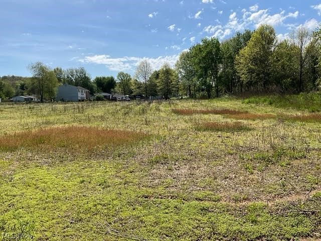 Hess Mill Road Bolivar, OH 44612 - Photo 12 of 19