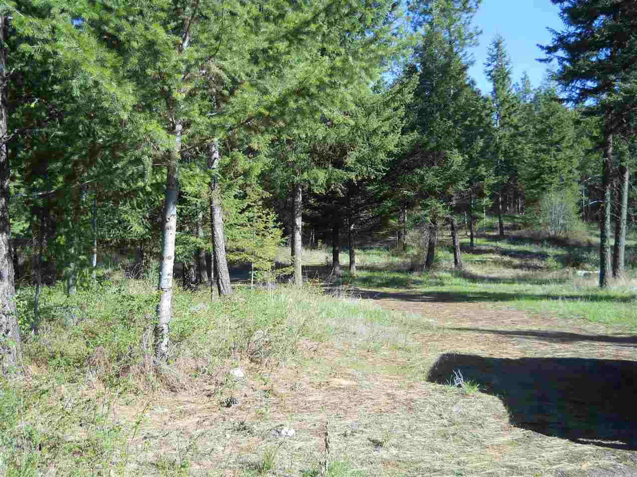 2206 Scott Road Rice, WA 99167 - Photo 14 of 16