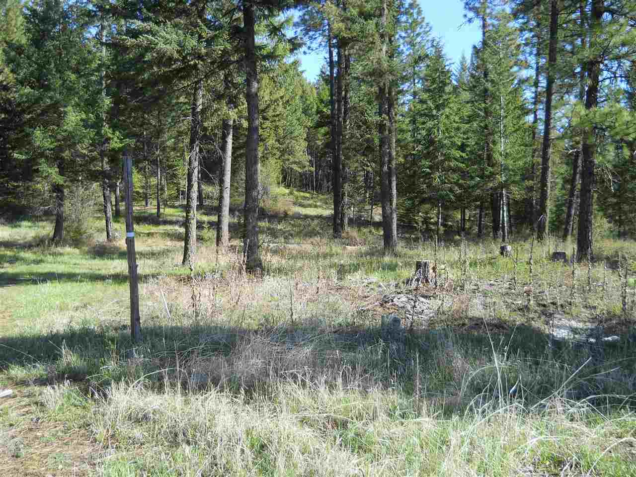 2206 Scott Road Rice, WA 99167 - Photo 15 of 16