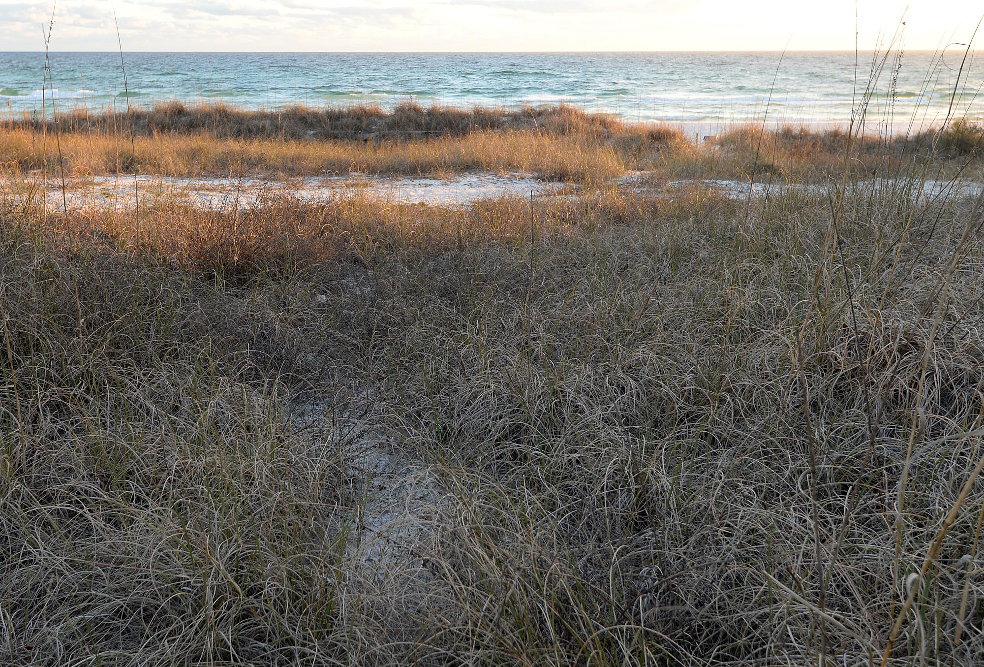 22509 Front Beach Road Panama City Beach, FL 32413 - Photo 3 of 3 Gallery Image 3