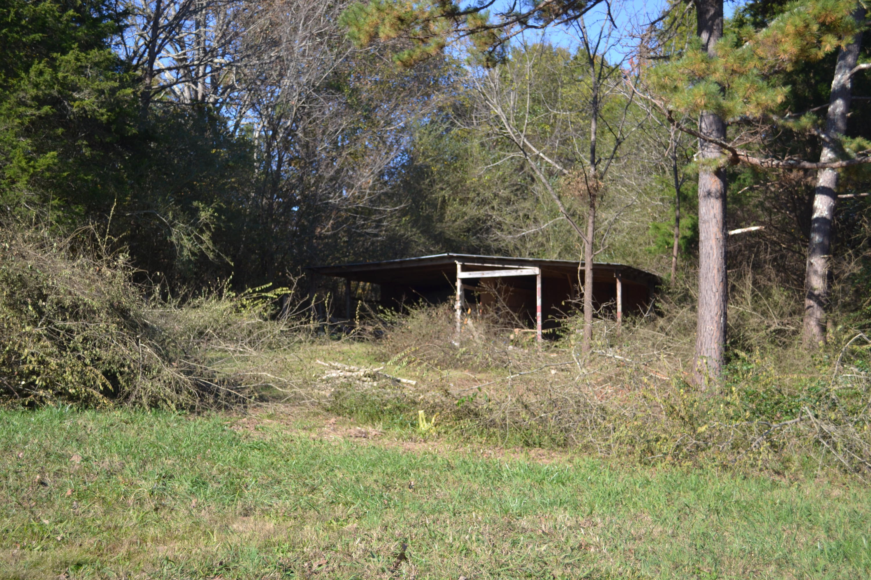 140 Ridgeview Lane Birchwood, TN 37308 - Photo 9 of 9 DSC_0112