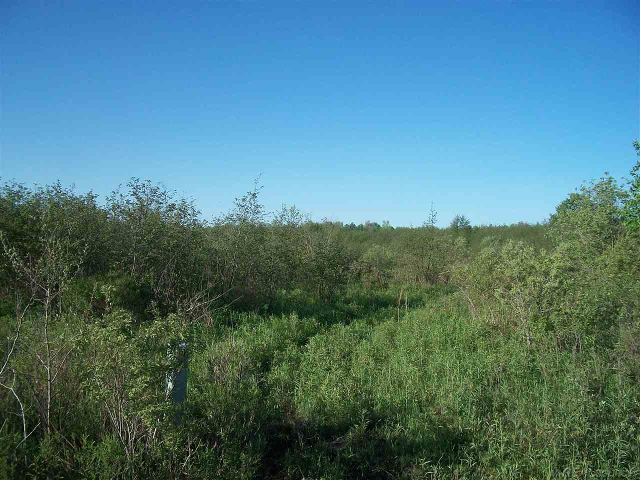 Tbd Mortimer Line Croswell, MI 48422 - Photo 2 of 6