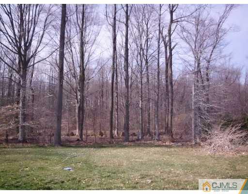 6 Putnam Road Monmouth Junction, NJ 08852 - Photo 25 of 25 Gallery Image 25