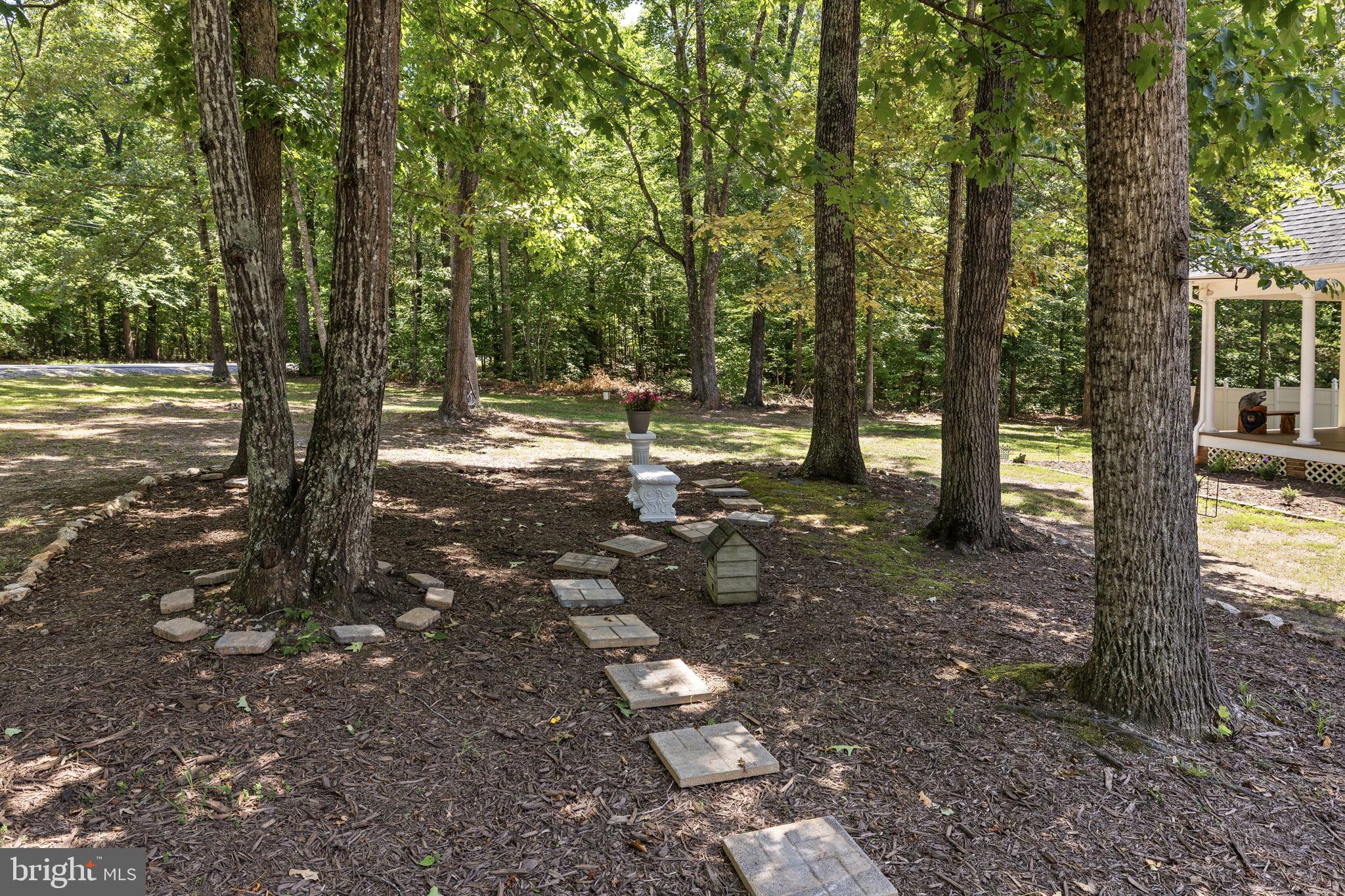 621 Ridgemont Drive Louisa, VA 23093 - Photo 69 of 81 Front Yard Path