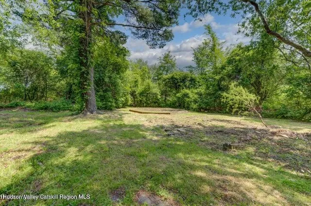 a view of outdoor space with trees all around