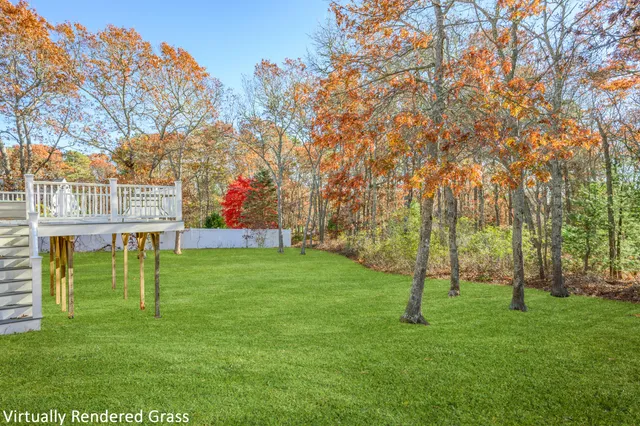 a view of a park with large trees