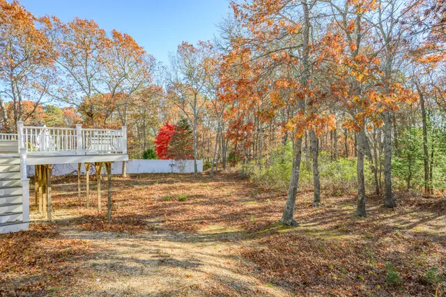 a view of a yard with large trees
