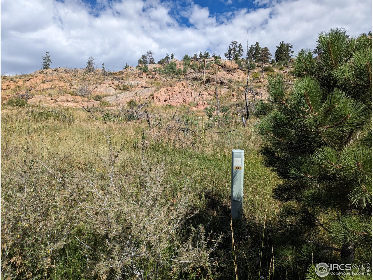 1737 Eiger Road Livermore, CO 80536 - Photo 24 of 24