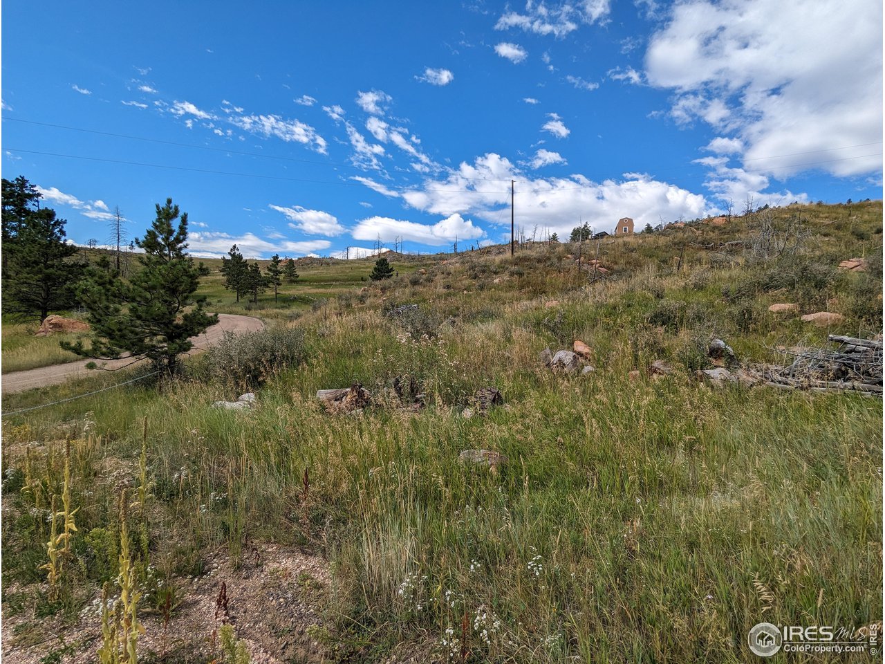 1737 Eiger Road Livermore, CO 80536 - Photo 5 of 24