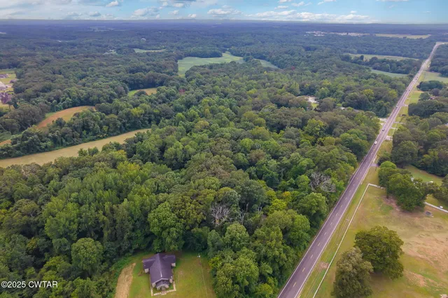 a view of a forest with a street