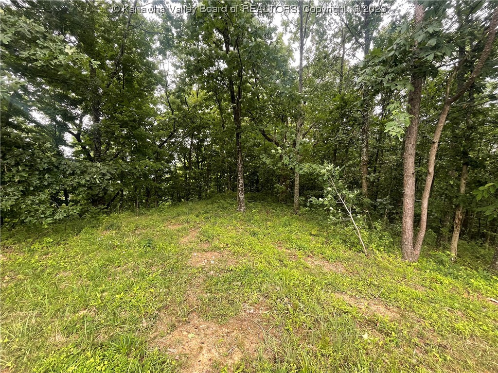 7022 Charleston Road Given, WV 25245 - Photo 6 of 21 Gallery Image 6
