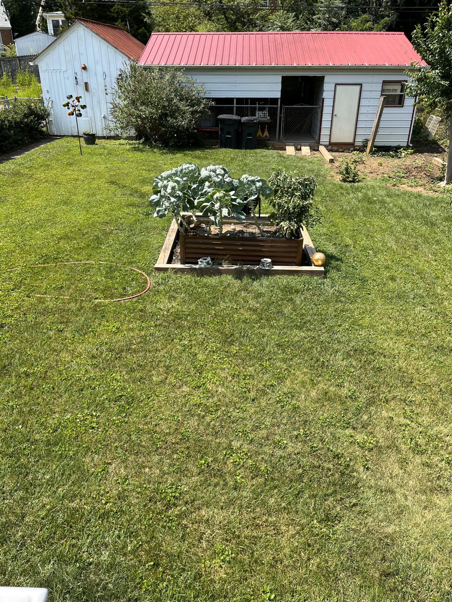 1841 Arden Road Southwest Roanoke, VA 24015 - Photo 35 of 46 Summer backyard