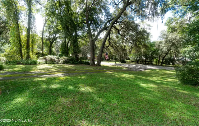 a view of a park with large trees