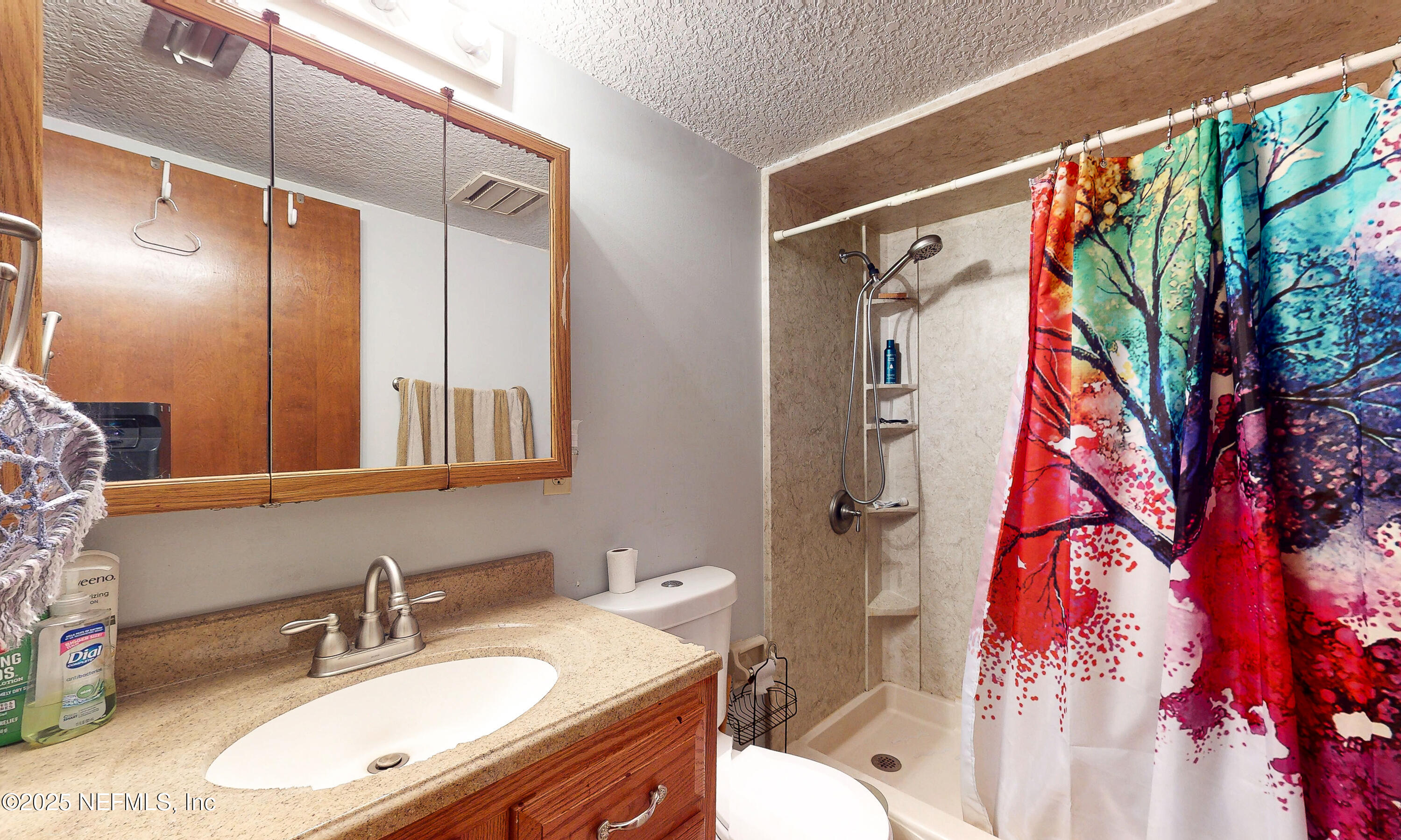 2860 Ravines Road Middleburg, FL 32068 - Photo 30 of 52 a bathroom with a sink vanity mirror and toilet