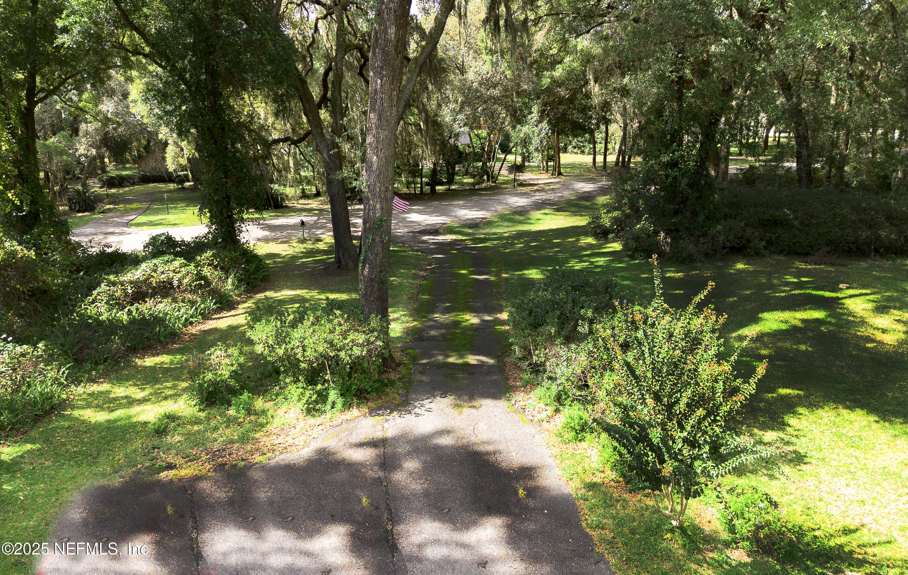 2860 Ravines Road Middleburg, FL 32068 - Photo 43 of 52 a backyard of a house with lots of green space