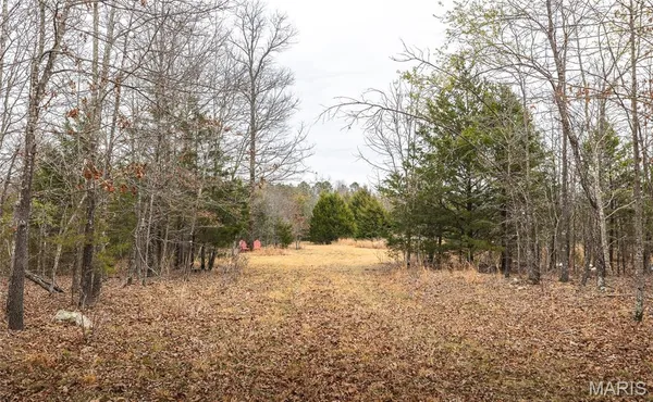 $180,000 | 0 County Road 2660, Mountain View, MO 65548